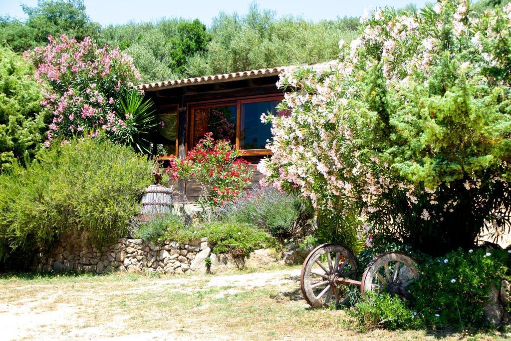 Agriturismo Sardo Villa Campavaglio Ngoại thất bức ảnh