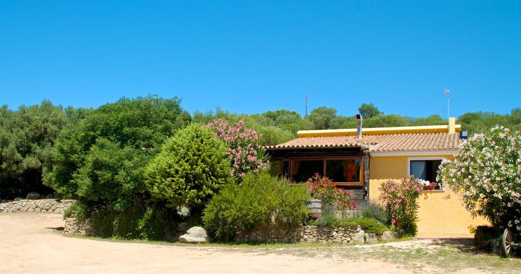 Agriturismo Sardo Villa Campavaglio Ngoại thất bức ảnh