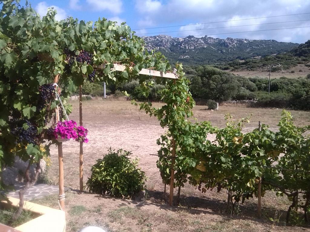 Agriturismo Sardo Villa Campavaglio Ngoại thất bức ảnh