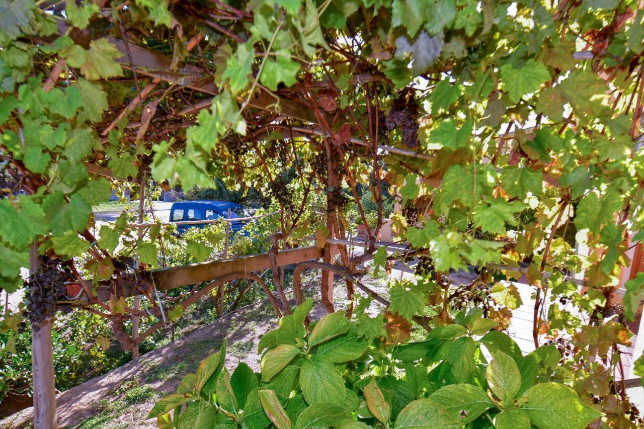 Agriturismo Sardo Villa Campavaglio Ngoại thất bức ảnh