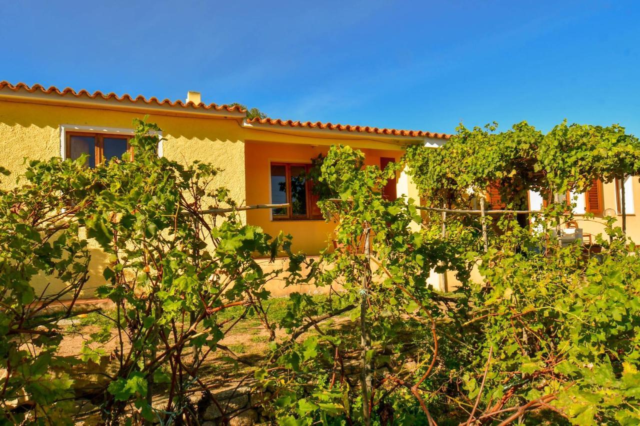 Agriturismo Sardo Villa Campavaglio Ngoại thất bức ảnh
